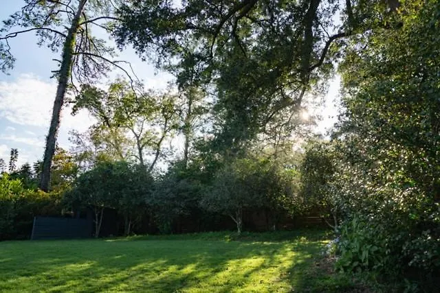 Walk To Midtown - Luxury 32 Close To Fsu! Holiday home